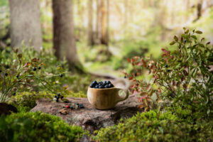 Traditional Finnish kuksa mug full of blueberries