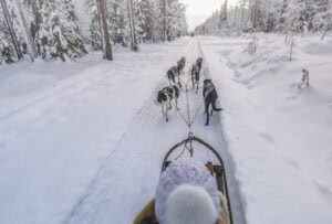 Person on a husky sledge in winter scenery