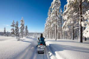 Person snowmobiling in a winter forest